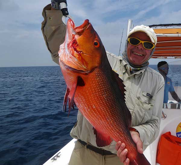Ein knallig rot gefärbter Snapper, der beim Popperfischen gefangen wurde